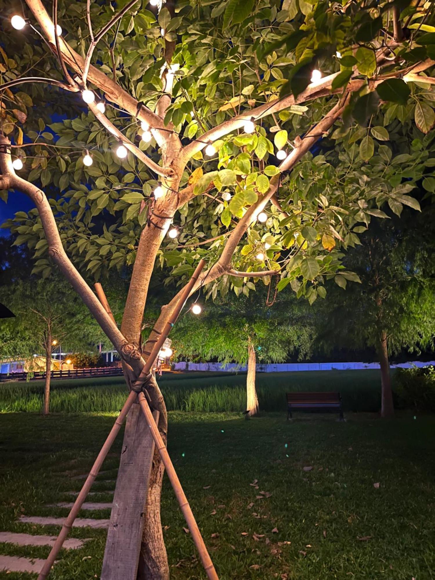 Blue Sky Hill Homestay Guanshan Bagian luar foto